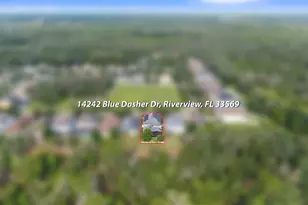14242 Blue Dasher Dr, Riverview, FL 33569 - Photo 50