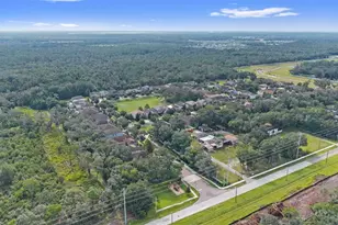 14242 Blue Dasher Dr, Riverview, FL 33569 - Photo 54