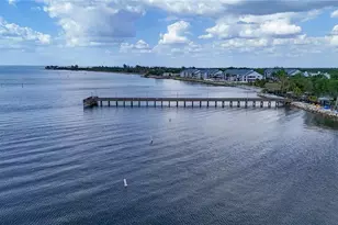 1071 Seagrape Dr, Ruskin, FL 33570 - Photo 48