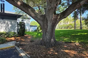 1213 N McMullen Booth Rd, Clearwater, FL 33759 - Photo 28