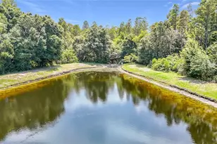 5014 Bridgeway Ln, Lutz, FL 33558 - Photo 34