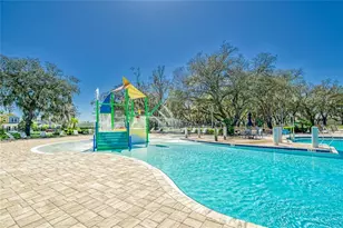13517 Texas Sage Pl, Riverview, FL 33579 - Photo 60