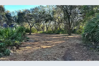 1676 Hermosa Drive, Palm Harbor, FL 34683 - Photo 32