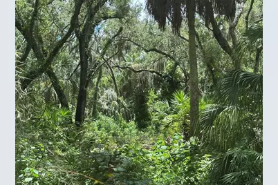 1676 Hermosa Drive, Palm Harbor, FL 34683 - Photo 42