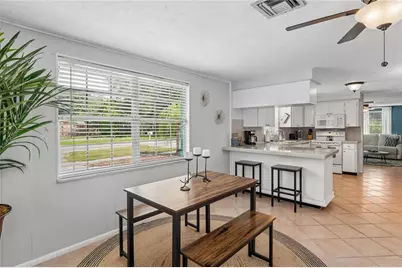 223 N Walton Avenue, Tarpon Springs, FL 34689 - Photo 34