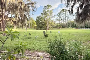 901 W River Dr, Temple Terrace, FL 33617 - Photo 66