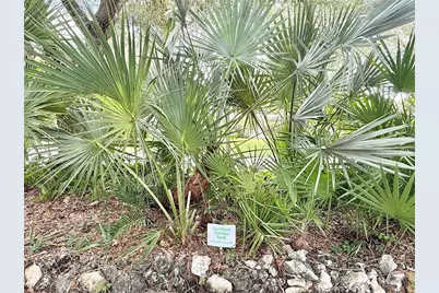 901 W River Dr, Temple Terrace, FL 33617 - Photo 68