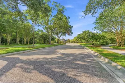 11625 Bristol Chase Drive, Tampa, FL 33626 - Photo 44