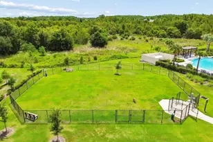 17258 Ashe Juniper Ln, Land O Lakes, FL 34638 - Photo 16