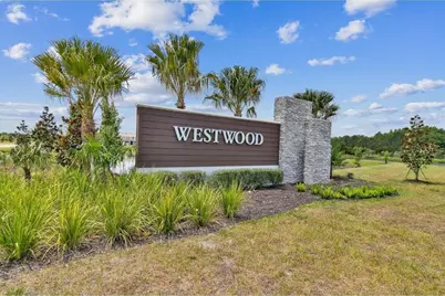 17258 Ashe Juniper Lane, Land O Lakes, FL 34638 - Photo 14