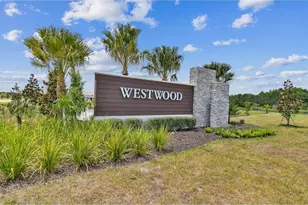 17258 Ashe Juniper Ln, Land O Lakes, FL 34638 - Photo 14