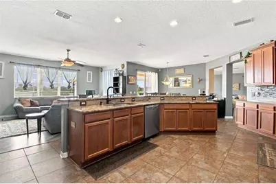 5321 Sandy Shell Drive, Apollo Beach, FL 33572 - Photo 8