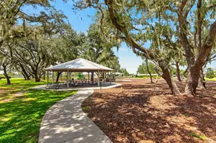12826 Wildflower Meadow Dr, Riverview, FL 33579 - Photo 54