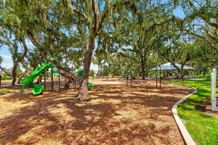 12826 Wildflower Meadow Dr, Riverview, FL 33579 - Photo 56