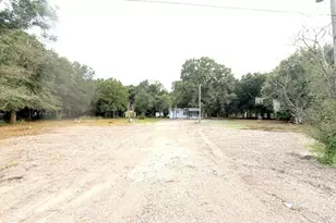 31208 Tyndall Rd, Wesley Chapel, FL 33545 - Photo 8