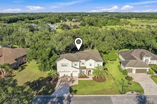 12754 Seronera Valley Ct, Spring Hill, FL 34610 - Photo 58