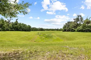 15431 Starling Crossing Dr, Lithia, FL 33547 - Photo 74