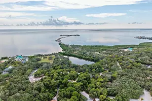 704 Bayshore Dr, Tarpon Springs, FL 34689 - Photo 66
