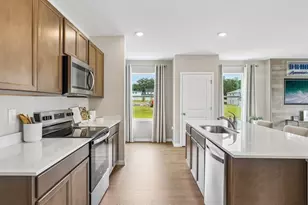 9878 Brave Buck Ave, Land O Lakes, FL 34638 - Photo 20