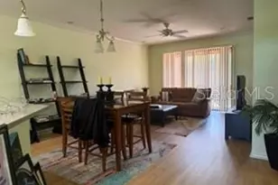 147 Shell Falls Dr, Apollo Beach, FL 33572 - Photo 4
