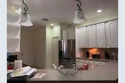 147 Shell Falls Drive, Apollo Beach, FL 33572 - Photo 8