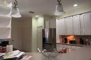 147 Shell Falls Dr, Apollo Beach, FL 33572 - Photo 8