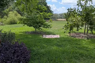 1447 Emerald Hill Way, Valrico, FL 33594 - Photo 50