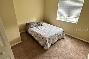 20418 Needletree Dr, Tampa, FL 33647 - Photo 16
