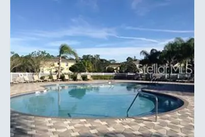 20418 Needletree Drive, Tampa, FL 33647 - Photo 28
