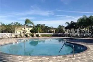 20418 Needletree Dr, Tampa, FL 33647 - Photo 28