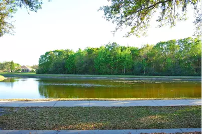18912 Wood Sage Drive, Tampa, FL 33647 - Photo 2