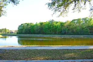 18912 Wood Sage Dr, Tampa, FL 33647 - Photo 2