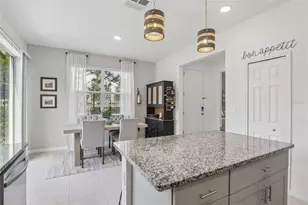 34162 Rogallo Ln, Wesley Chapel, FL 33545 - Photo 8