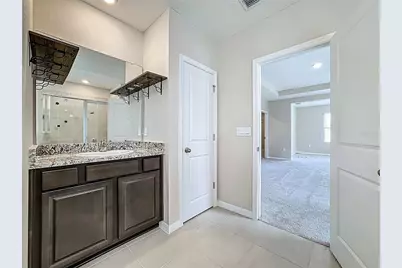 13071 Brookside Moss Drive, Riverview, FL 33579 - Photo 48