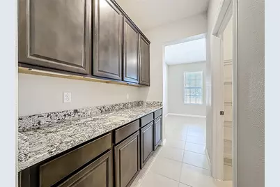 13071 Brookside Moss Drive, Riverview, FL 33579 - Photo 18