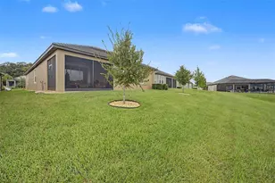 31727 Cardinal Yard Dr, San Antonio, FL 33576 - Photo 36