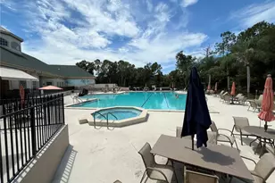 6513 Cardinal Crest Dr, New Port Richey, FL 34655 - Photo 46