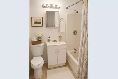 2107 W Chestnut Street, Tampa, FL 33607 - Photo 8