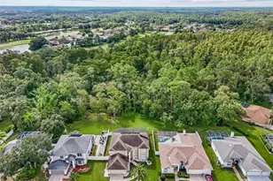 15713 Muirfield Dr, Odessa, FL 33556 - Photo 44