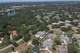1251 Sutherland Ct, Dunedin, FL 34698 - Photo 50