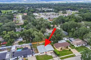 4411 Bass St, Tampa, FL 33617 - Photo 6