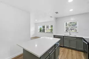 4409 W Pearl Ave, Tampa, FL 33611 - Photo 10