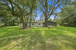 11666 Seminole Dr, New Port Richey, FL 34654 - Photo 4