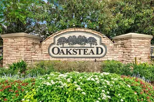 19144 Weymouth Dr, Land O Lakes, FL 34638 - Photo 34