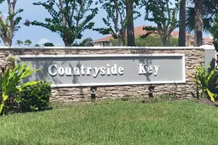 279 Countryside Key Blvd, Oldsmar, FL 34677 - Photo 38