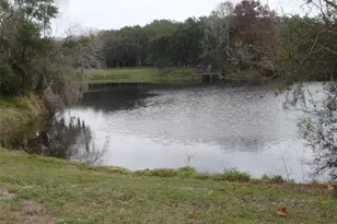 1108 Hollywood Ave, Clearwater, FL 33759 - Photo 24