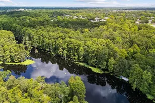 0000 Allview Dr, Tampa, FL 33637 - Photo 26