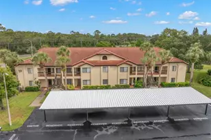 1801 E Lake Rd, Palm Harbor, FL 34685 - Photo 36