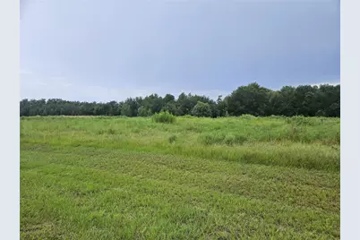 8881 Valerie Court, Zephyrhills, FL 33540 - Photo 6