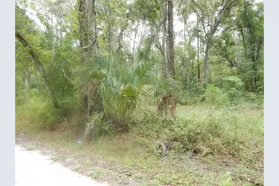 Central Avenue, Zephyrhills, FL 33540 - Photo 2